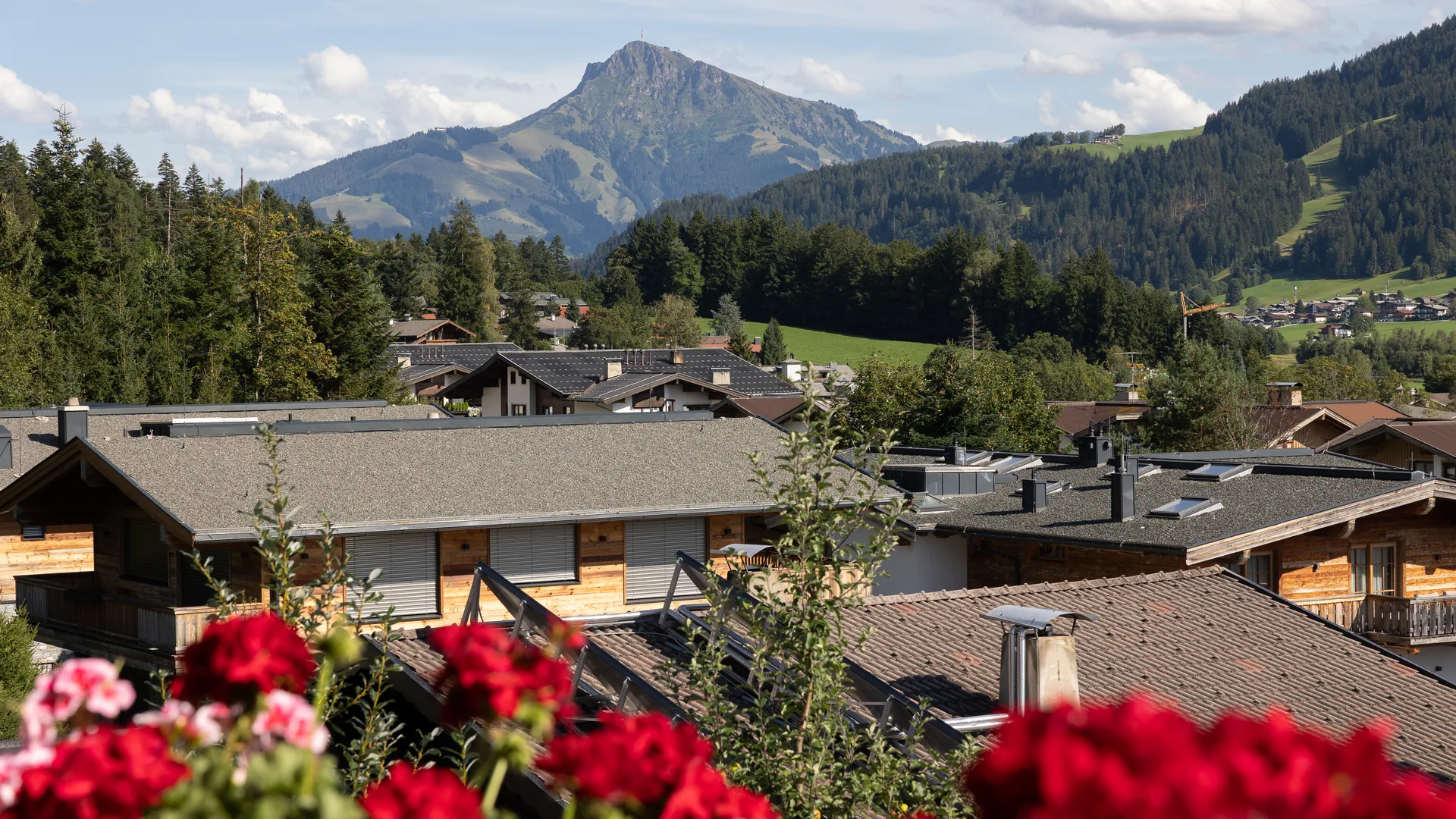 Dachlandschaft von Ellmau mit traditionellen Holzhäusern, Bergspitze im Hintergrund, Geranien im Vordergrund