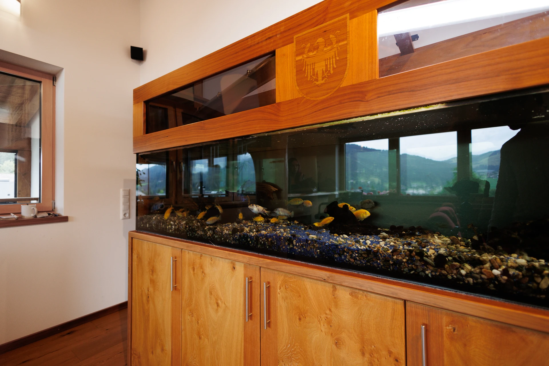 Integriertes Süßwasser-Aquarium mit Buntbarschen im Massivholz-Sideboard des FALKENSITZ Wohnzimmers